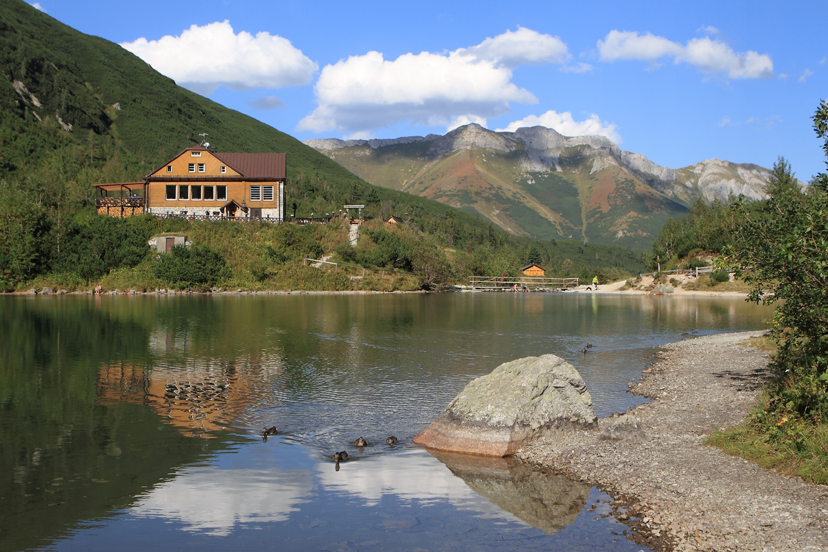 Die Enten an der Chata pri Zelenom - Hohe Tatra