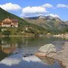 Die Enten an der Chata pri Zelenom - Hohe Tatra