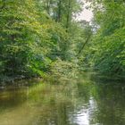 Die Enten und die blauen Jungs