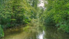 Die Enten und die blauen Jungs