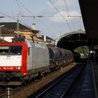 Die entklebte "185-CL 005" zieht im schönen Sonnenschein einen Güterzug durch Bonn