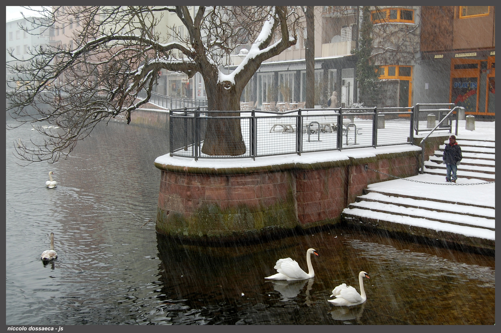 ... die Enz , die Schwäne und der kleine Junge im Schneetreiben  ...