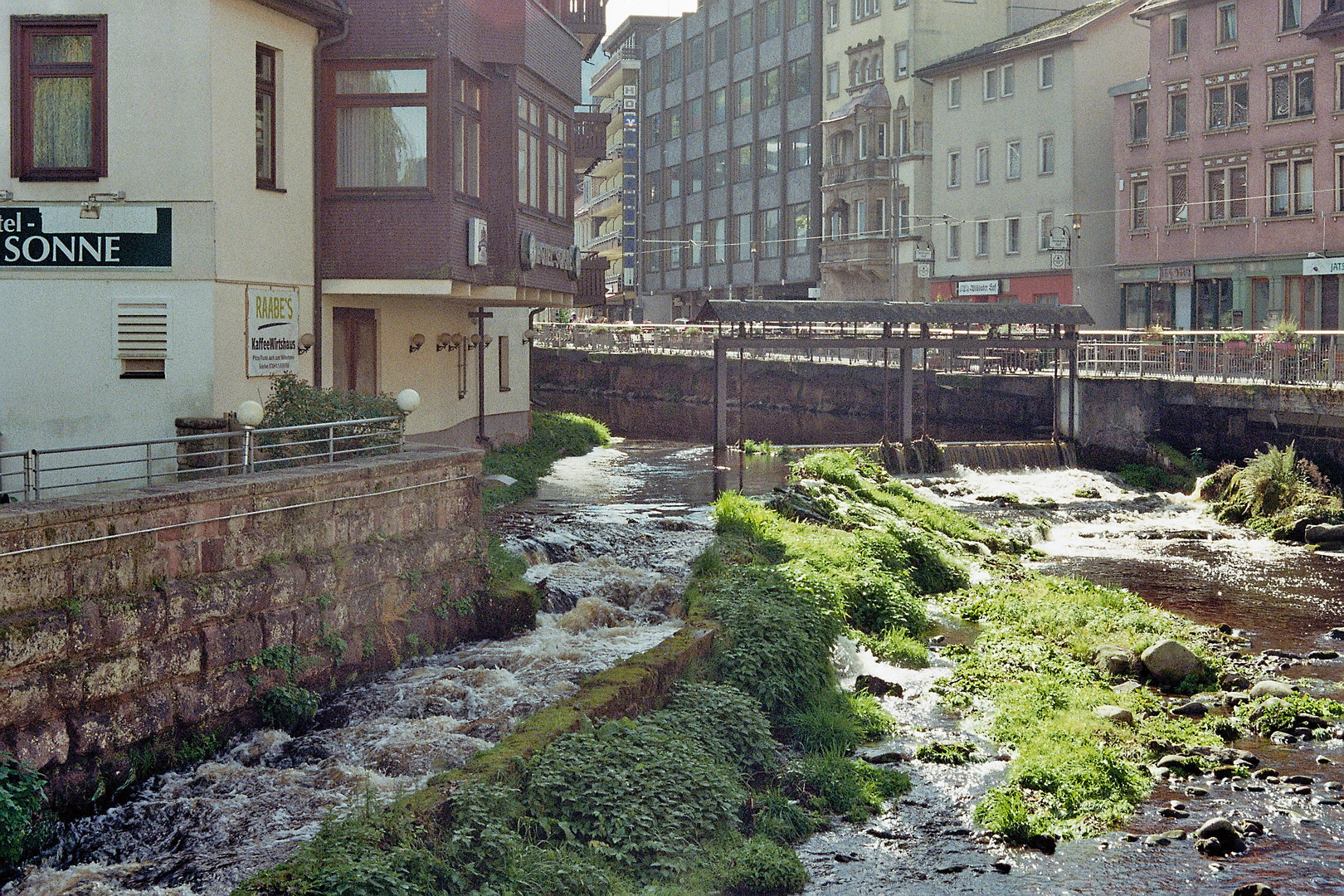 die Enz in Wildbad (1)