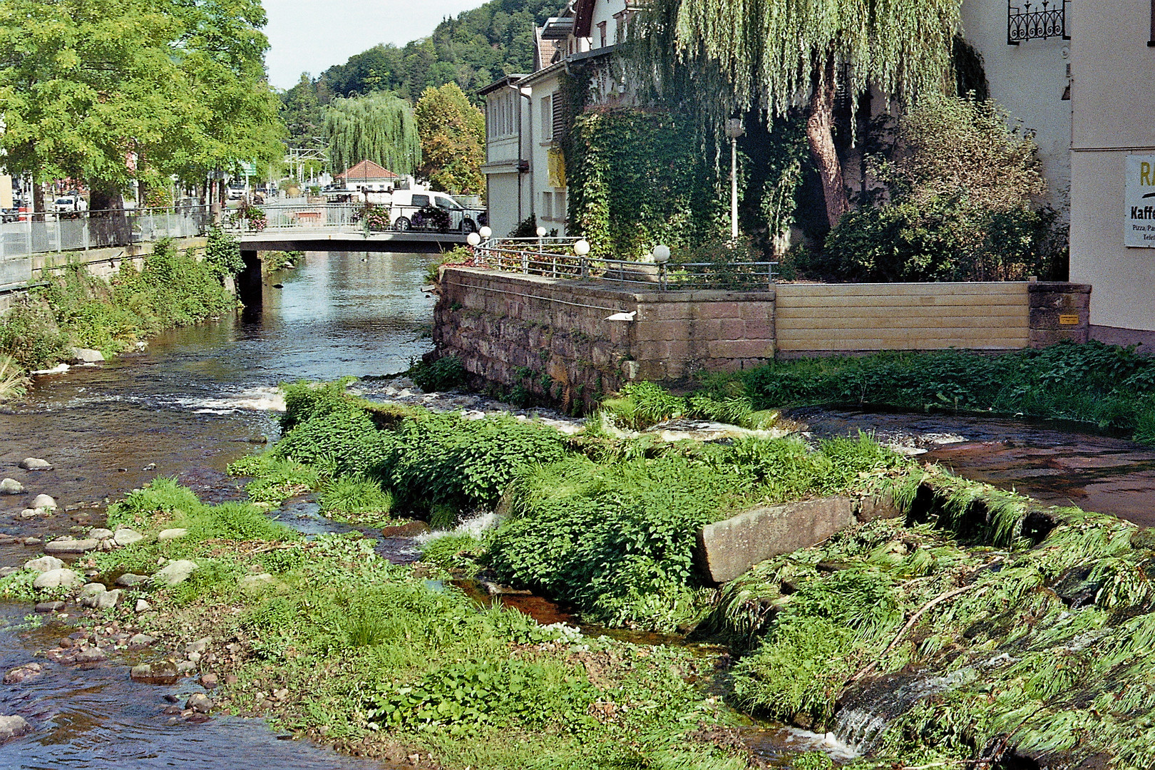 die Enz in Wildbad (2)