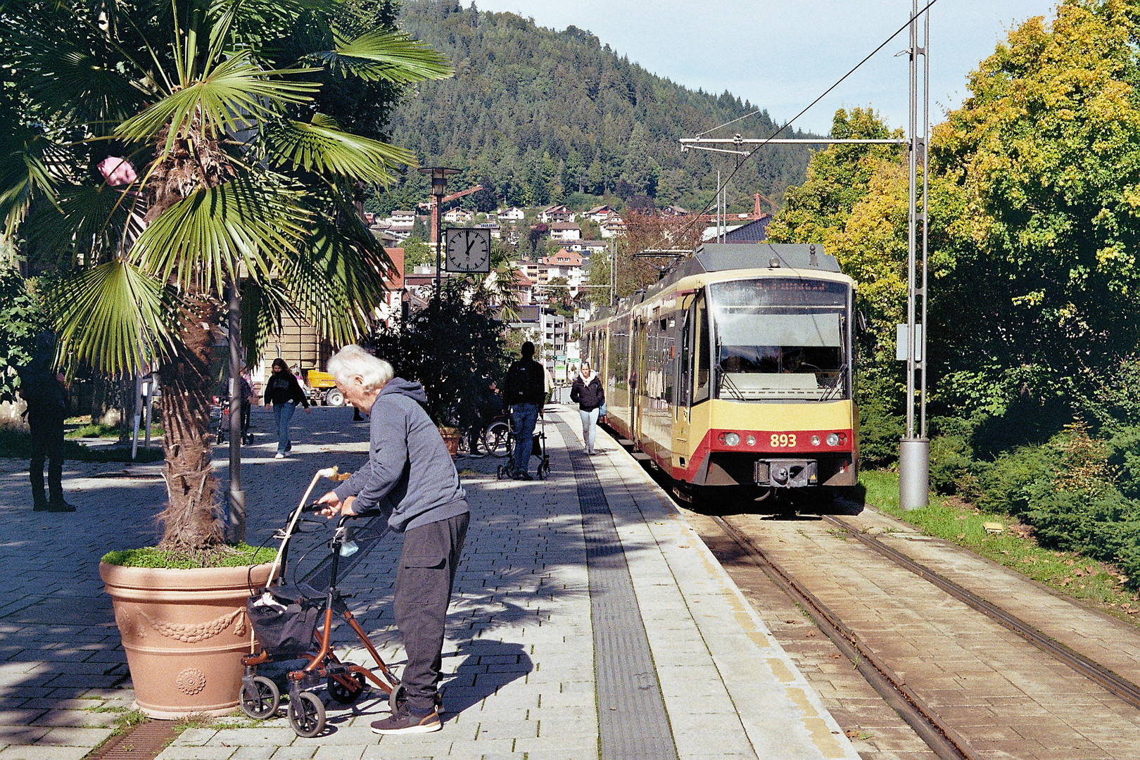 die Enztalbahn (13)