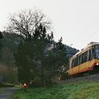 die Enztalbahn (14)