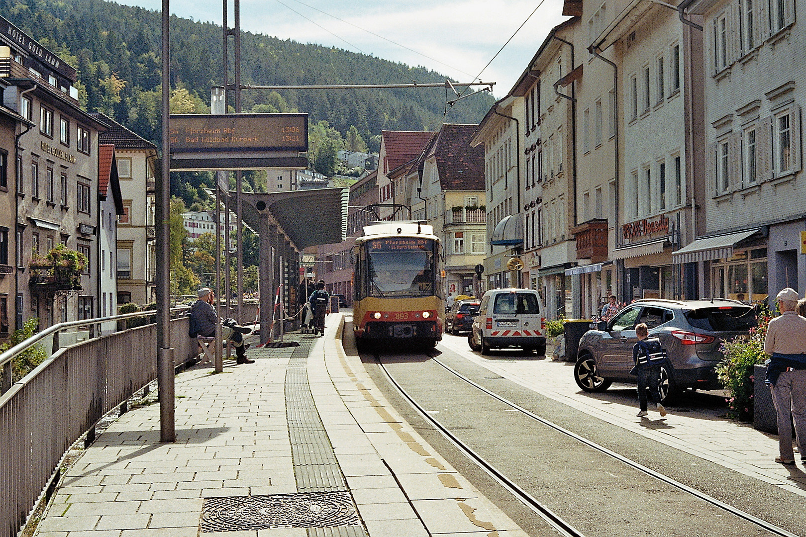 die Enztalbahn (16)