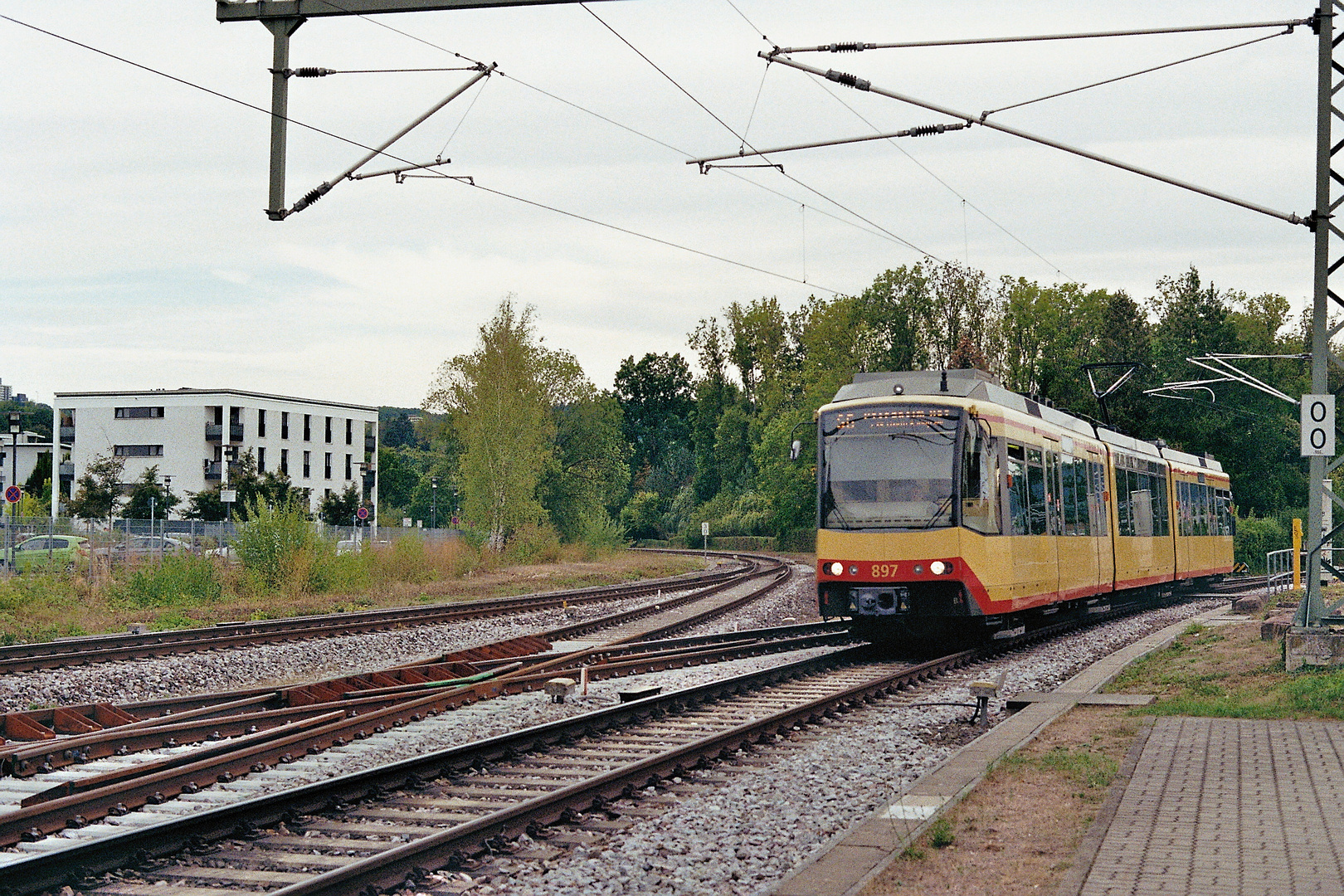 die Enztalbahn (17)