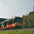 die Enztalbahn (2)