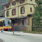 die Enztalbahn (8)