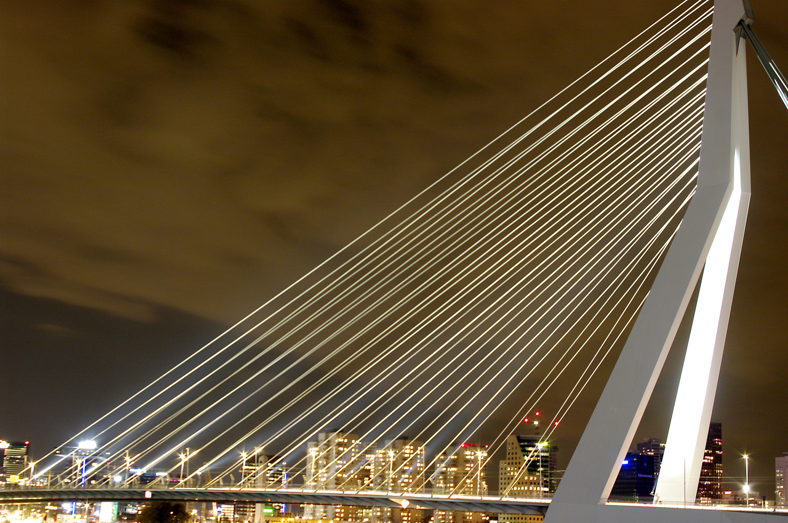 Die Erasmusbrücke in der Nacht