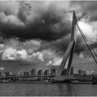 Die Erasmusbrücke in Rotterdam