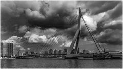 Die Erasmusbrücke in Rotterdam