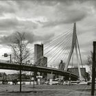 die Erasmusbrücke in Rotterdam