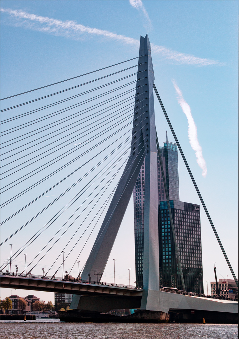 Die Erasmusbrücke von Rotterdam