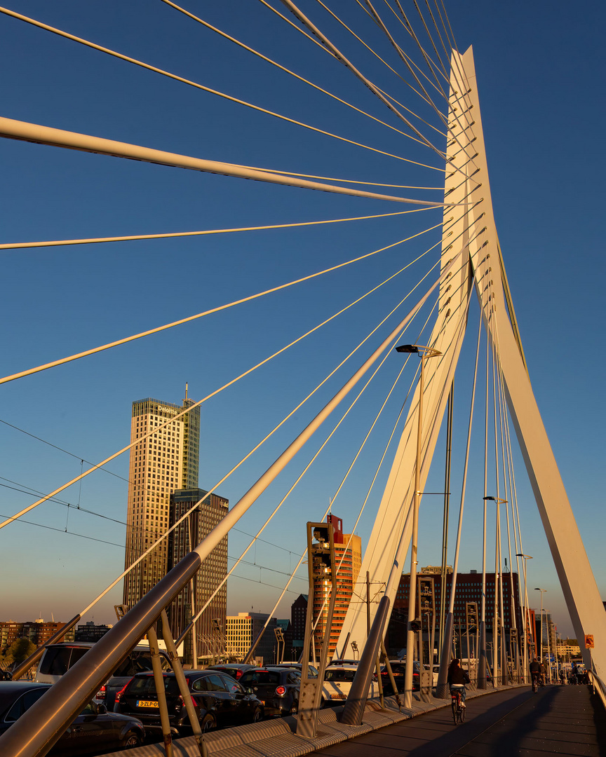 Die „Erasmusbrug“ in Rotterdam (NL) in der Nachmittagssonne