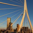 Die „Erasmusbrug“ in Rotterdam (NL) in der Nachmittagssonne