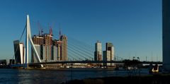 Die Erasmusbrug und der Hafen