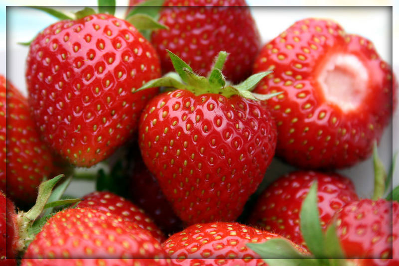 Die Erdbeeren ...