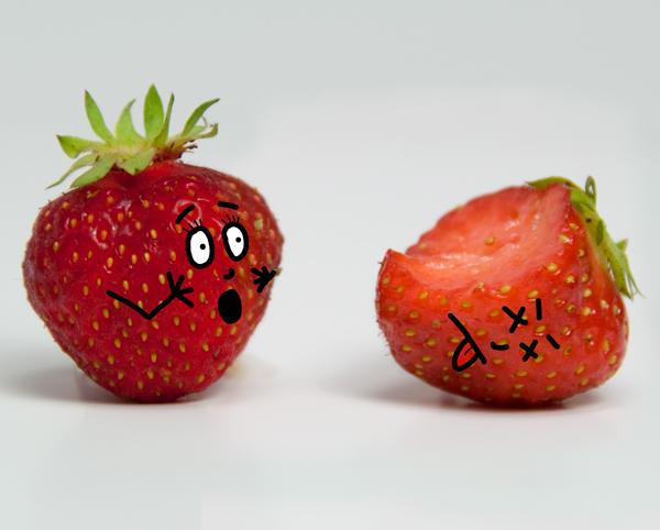 Die Erdbeeren