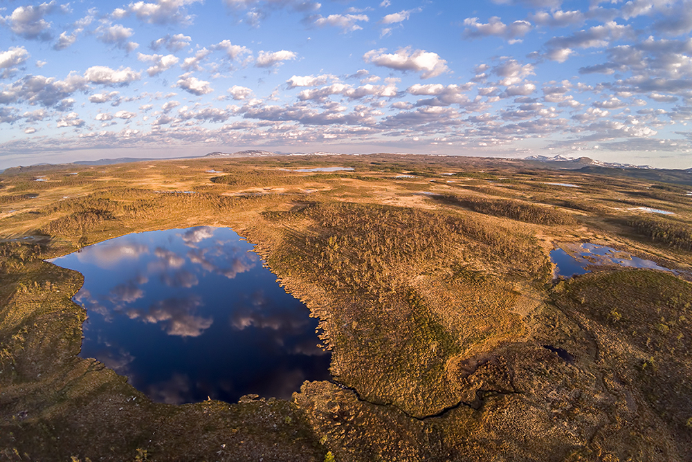 Die Erde ist rund Foto Bild landschaft moor Die Erde ist rund Foto Bild landschaft moor