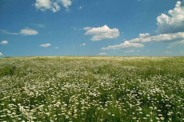 die erde ist rund ...