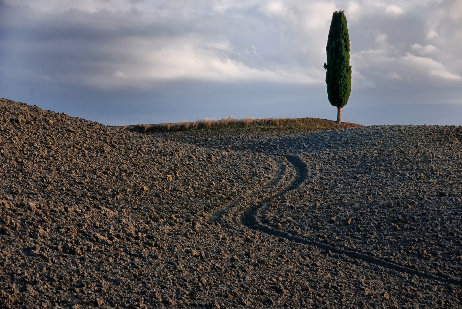 die Erde ruht..... val d'Orcia bei Pienza