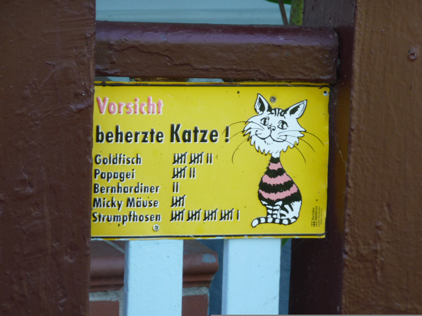 Die Erfolge eine "Kampf-Katze"........