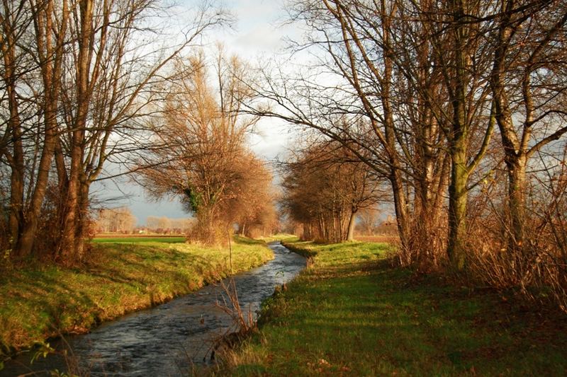 Die Erft bei Derkum