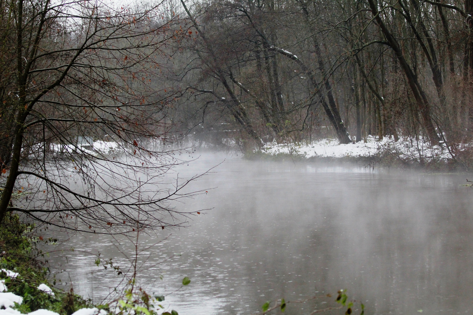 Die Erft im Winter