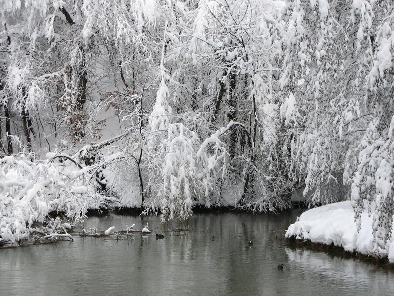 Die Ergolz im Winter 2006