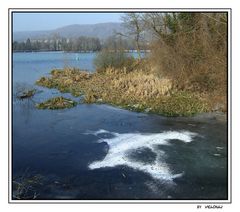 die Ergolzmündung bei Augst