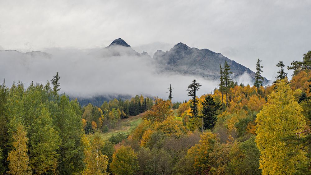 Die erholte Natur in der Hohen Tatra