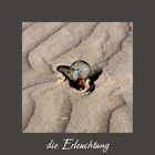 die Erleuchtung