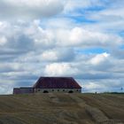 Die Ernte eingefahren