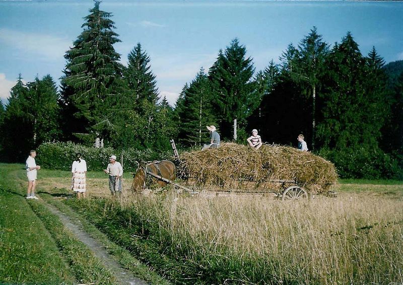 Die Ernte - Harvest-time - La moisson