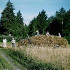 Die Ernte - Harvest-time - La moisson