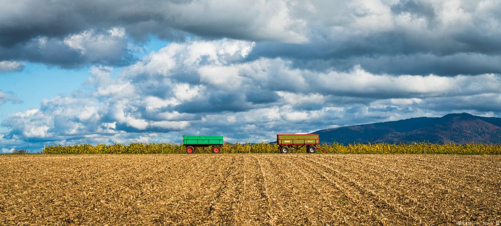 Die Ernte isch over