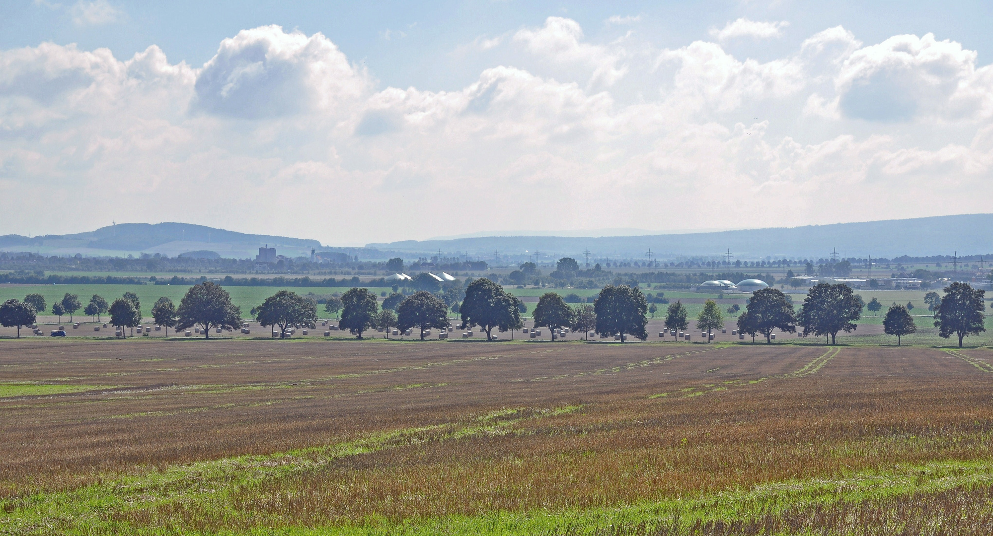 die Ernte ist eingebracht