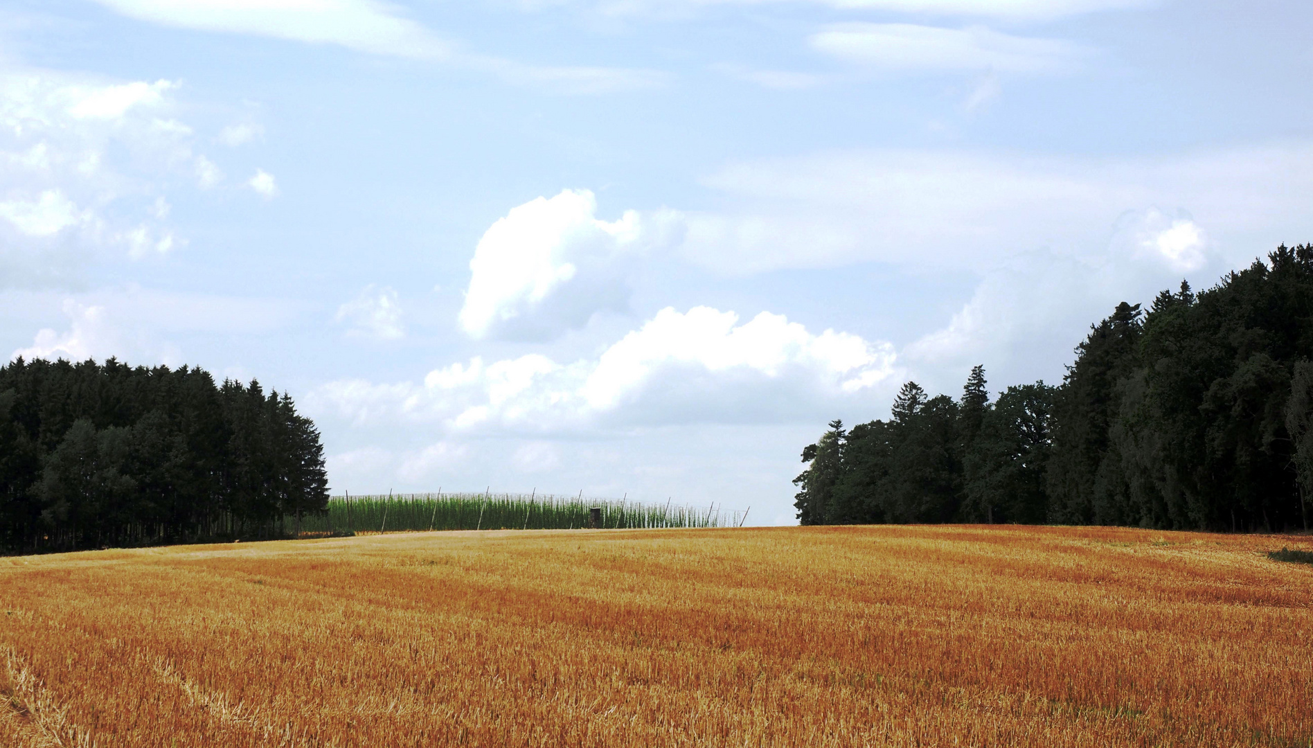 Die Ernte ist eingebracht