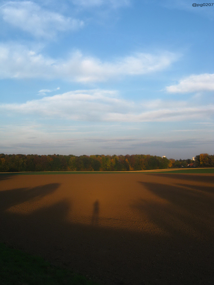 Die Ernte ist eingefahren