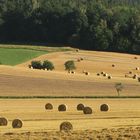 Die Ernte ist eingefahren