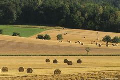 Die Ernte ist eingefahren