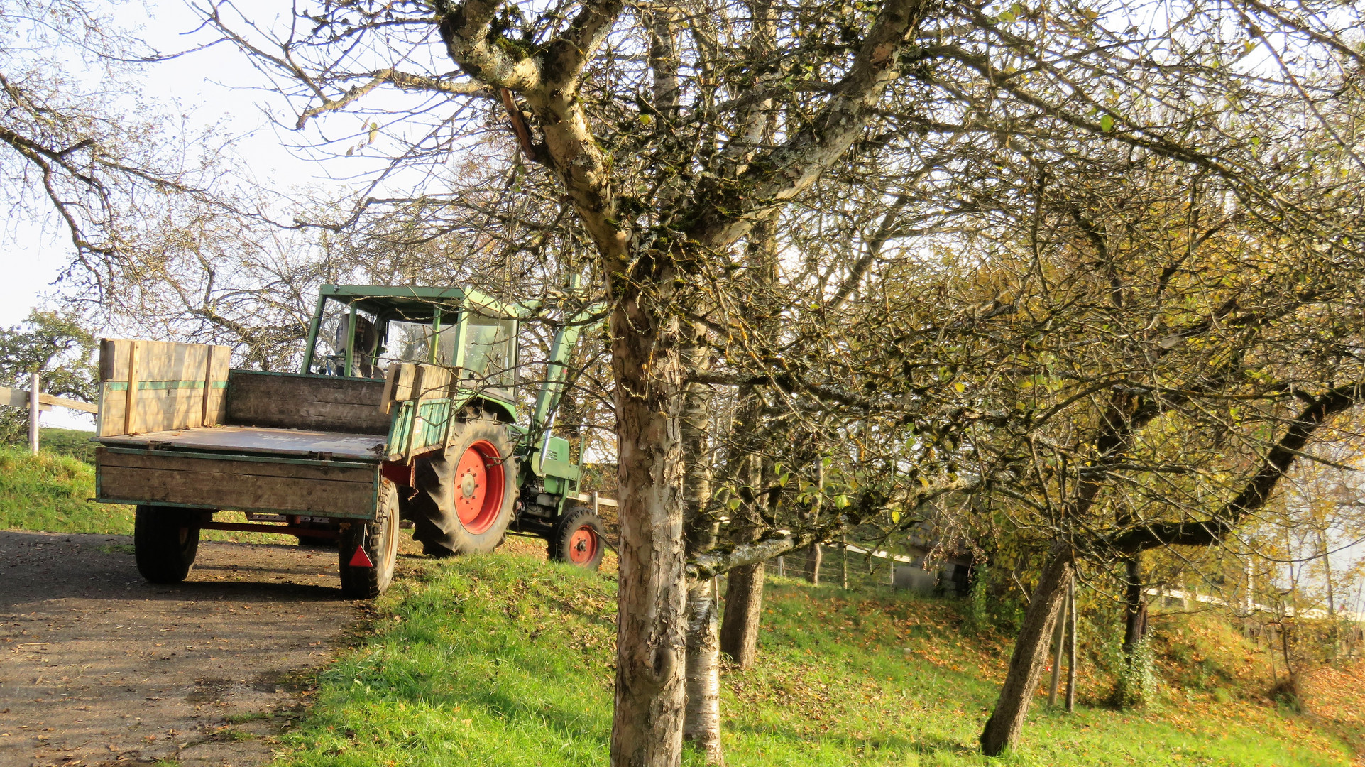 Die Ernte ist eingefahren.