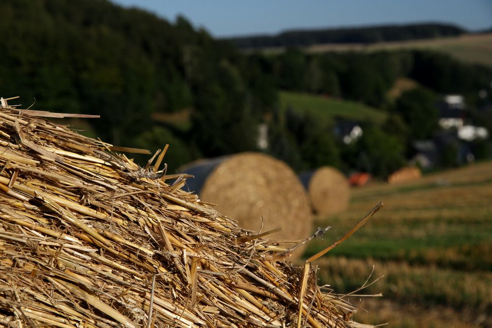 Die Ernte ist eingefahren ...