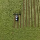 Die Ernte läuft auf Hochtouren