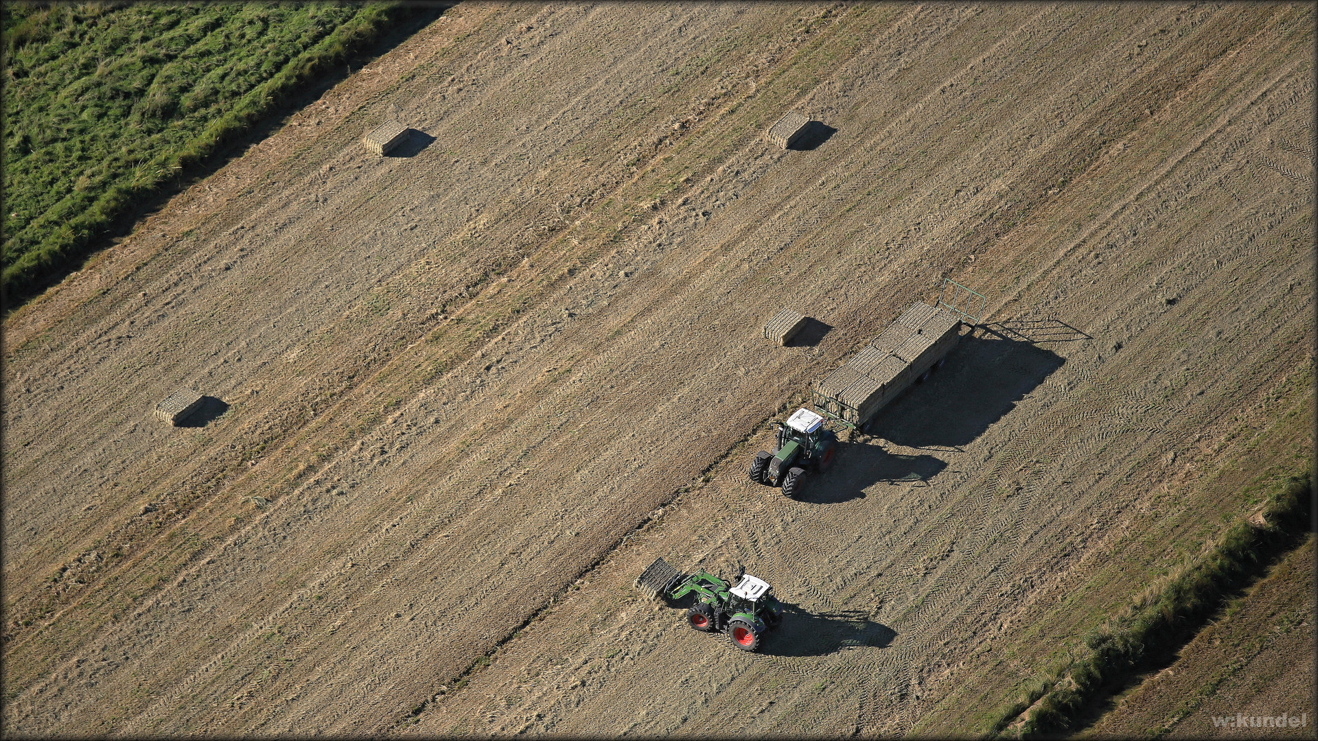 die Ernte (Luftbild, aerial)