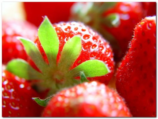 Die Ernte von heute....