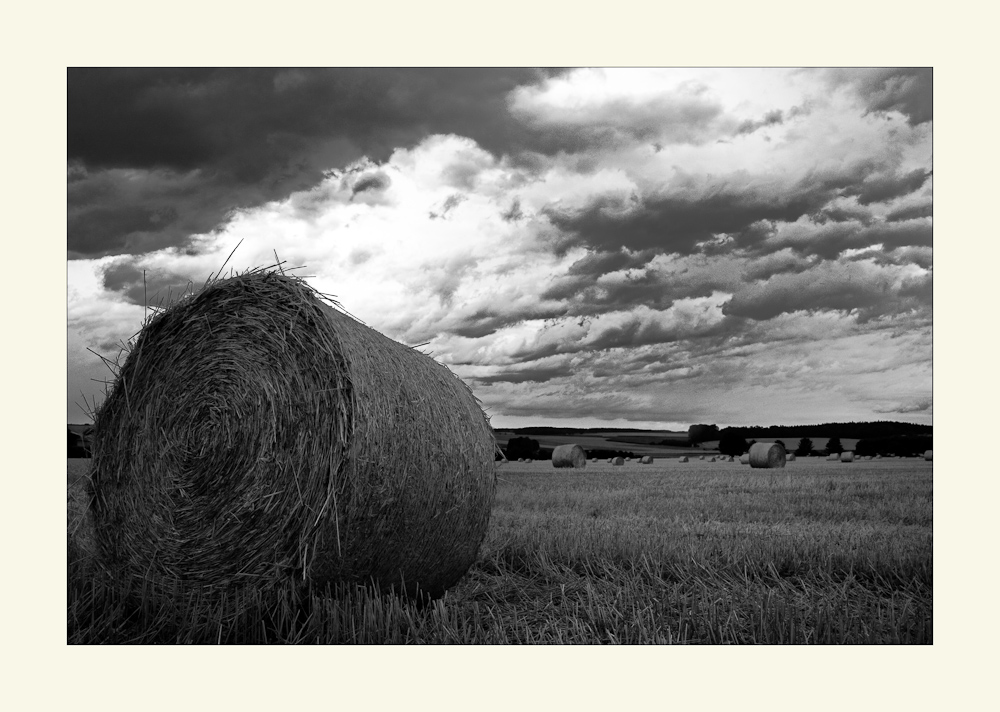 Die Ernte vor dem Regen