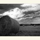 Die Ernte vor dem Regen